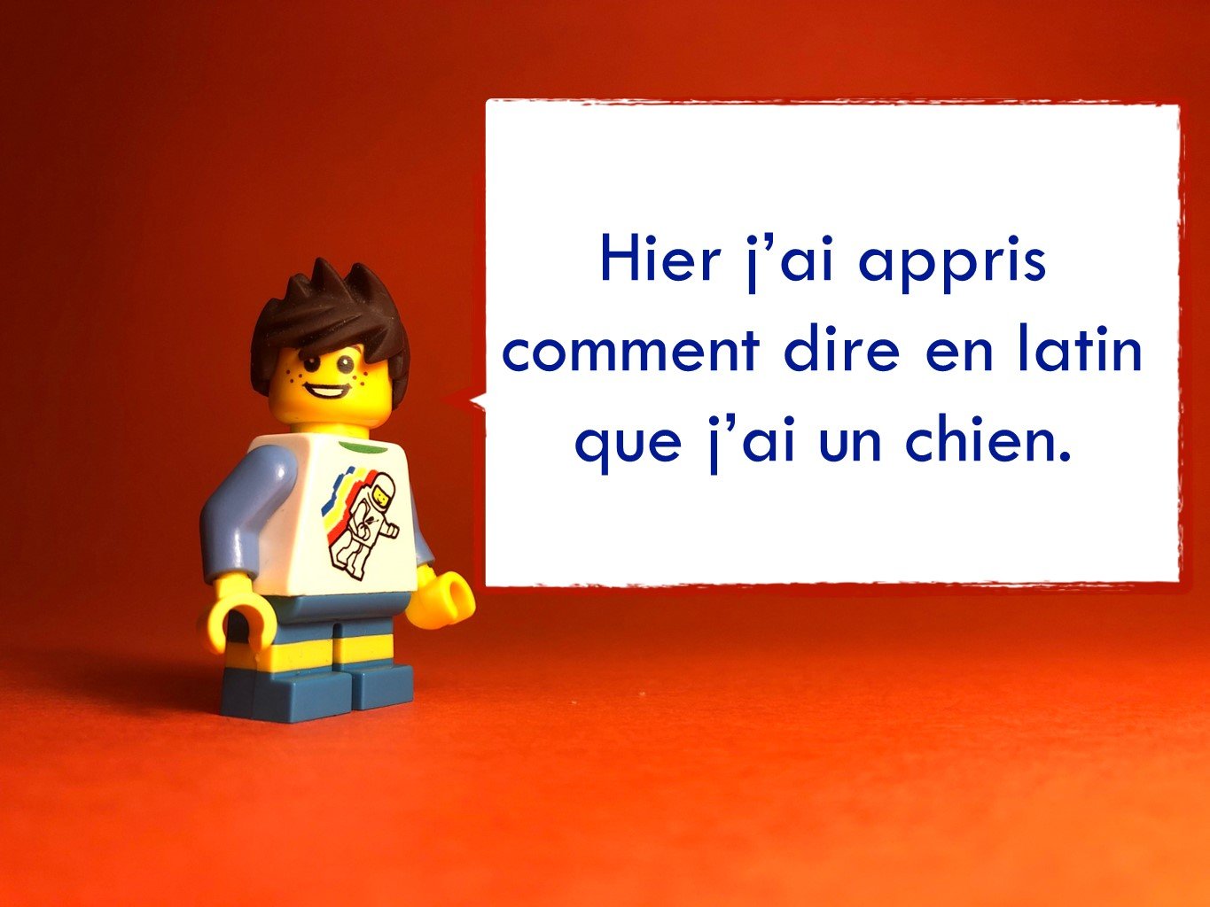 FrenchDisco9011.JPG