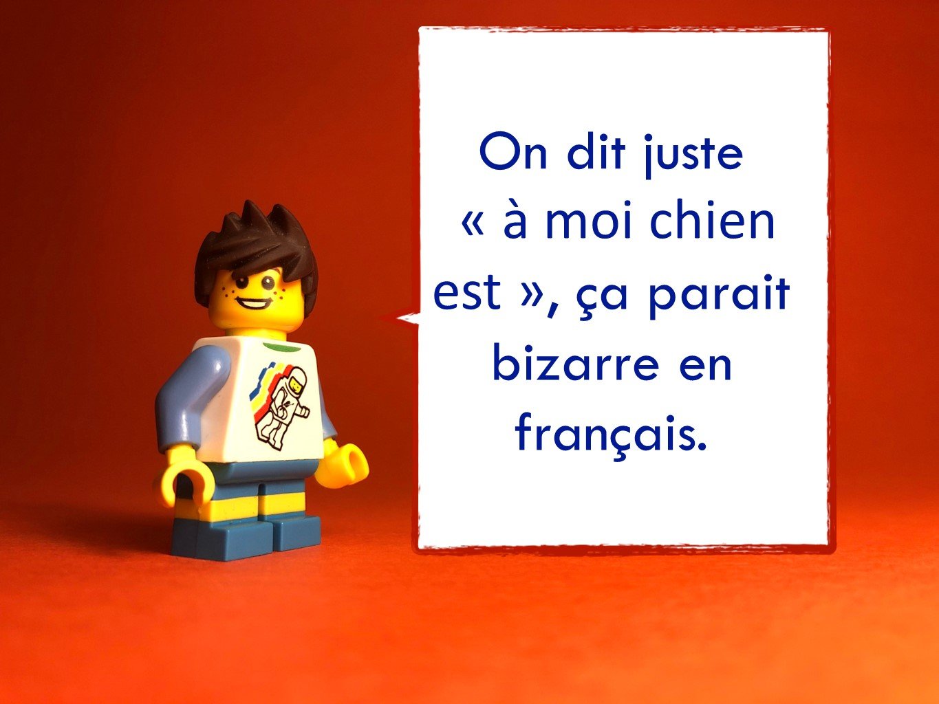 FrenchDisco9013.JPG