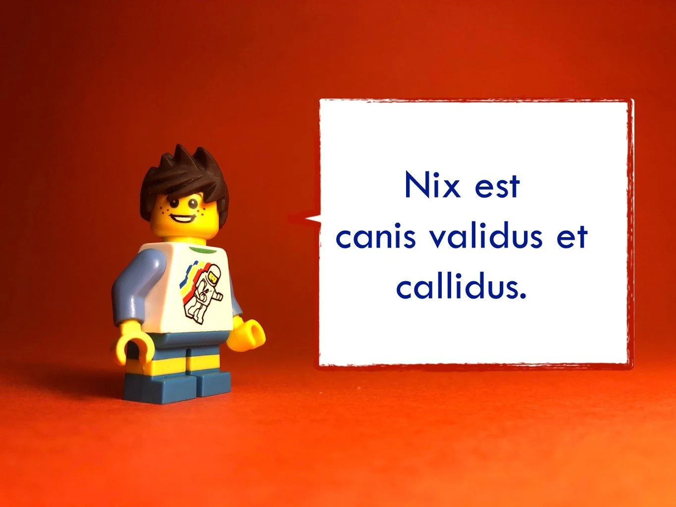 FrenchDisco9021.JPG