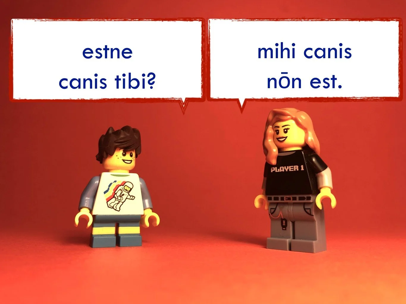 FrenchDisco9048.JPG