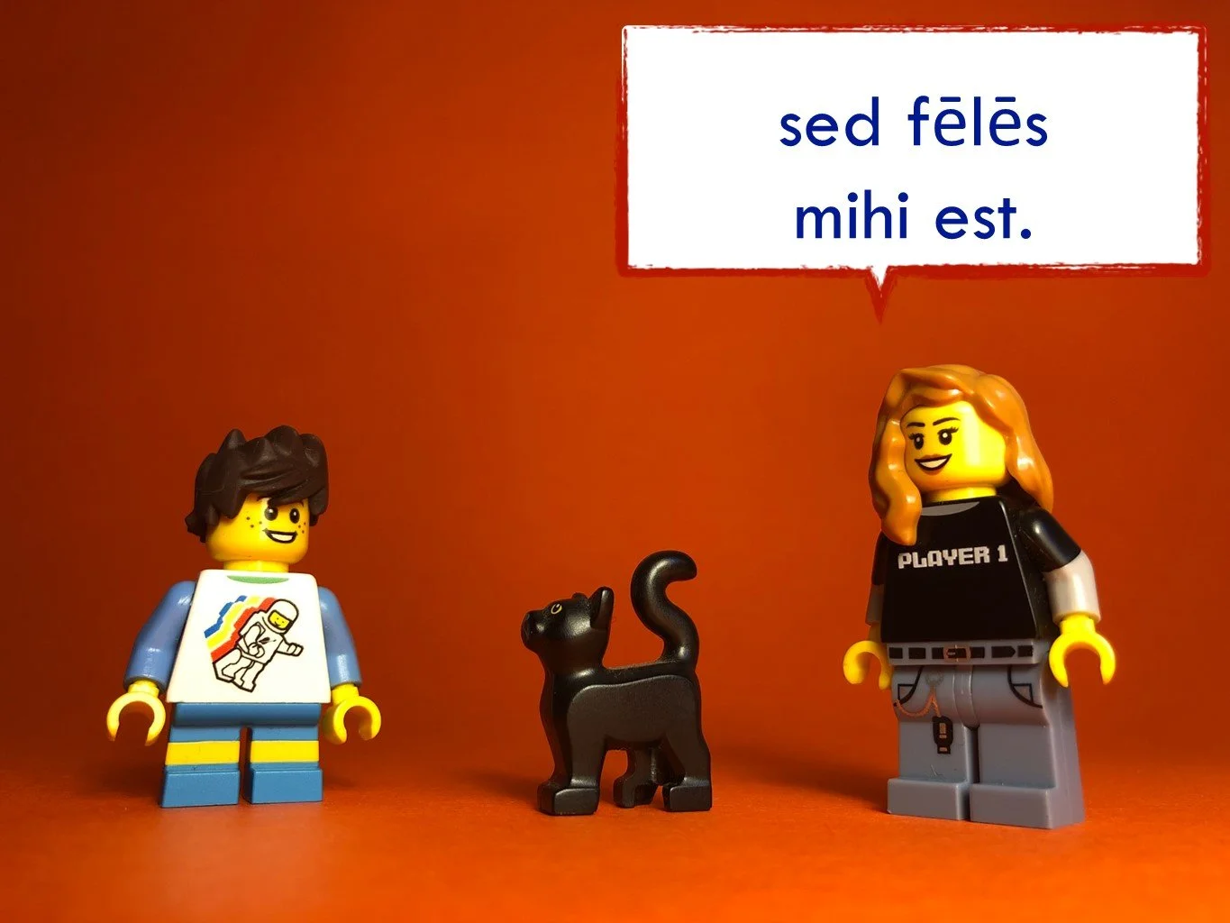 FrenchDisco9049.JPG