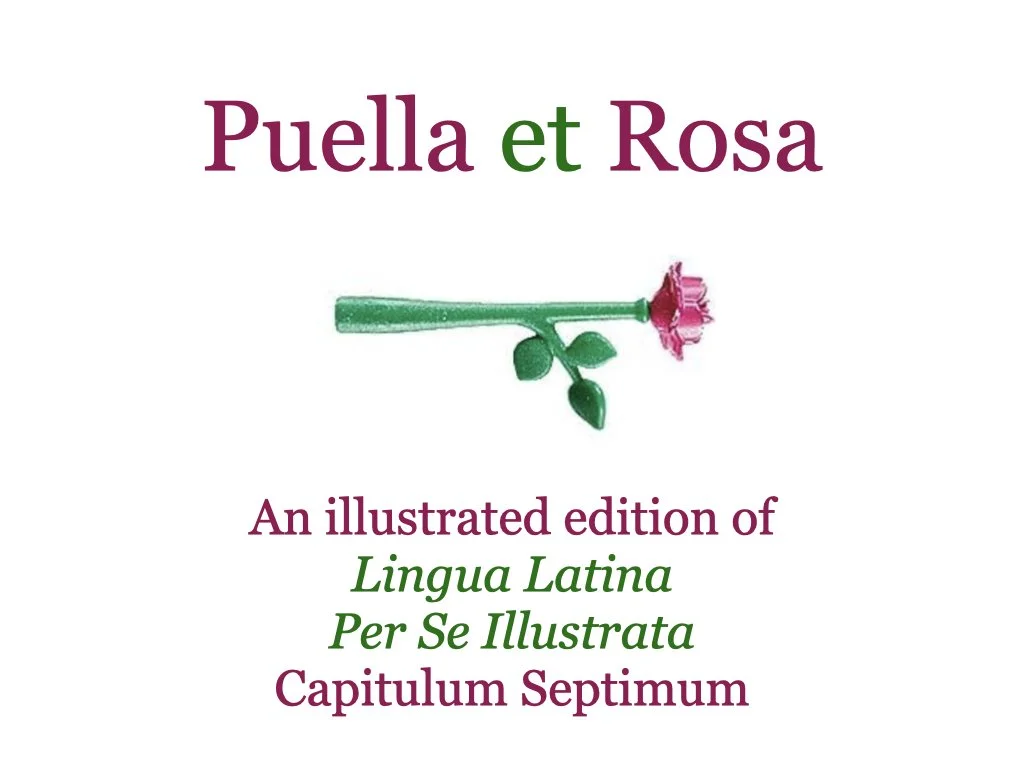 Puella et Rosa.001.jpeg