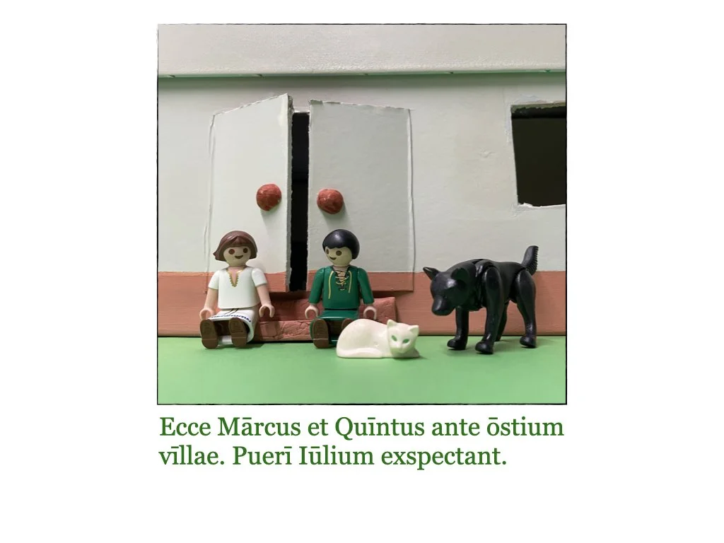 Puella et Rosa.004.jpeg