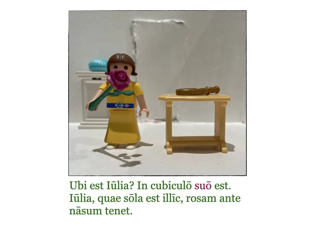 Puella et Rosa.007.jpeg