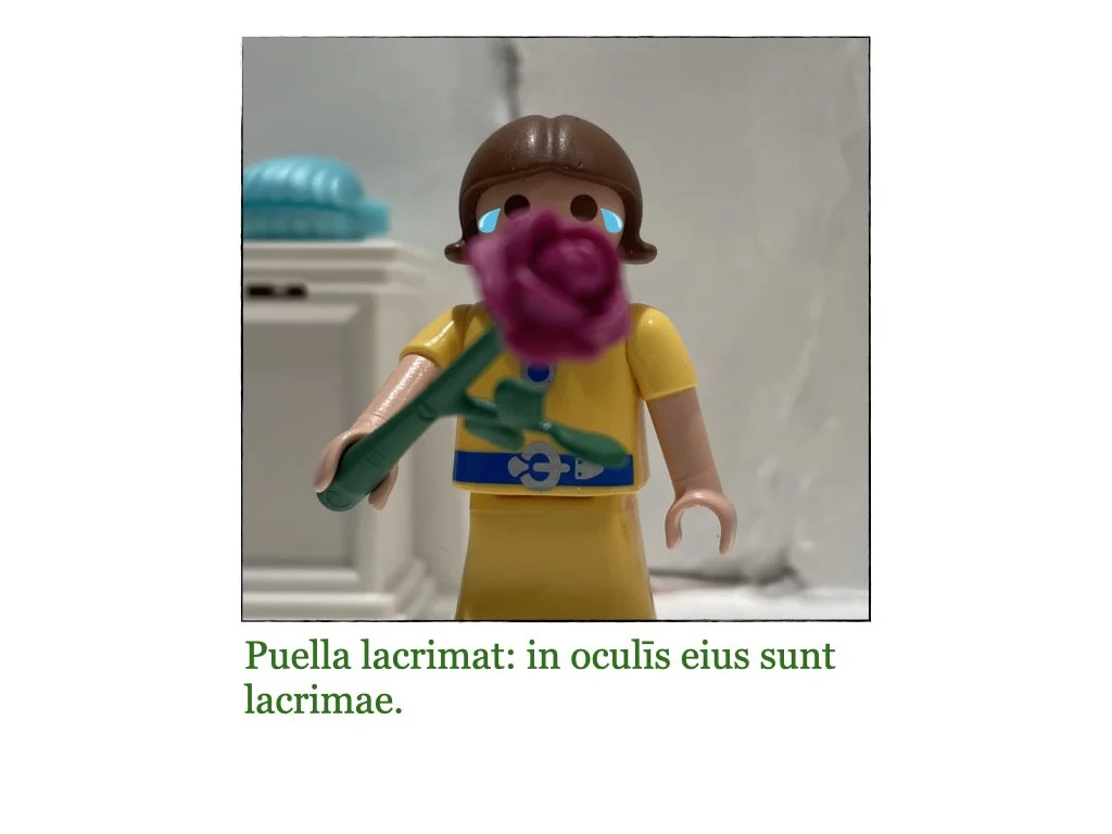 Puella et Rosa.008.jpeg