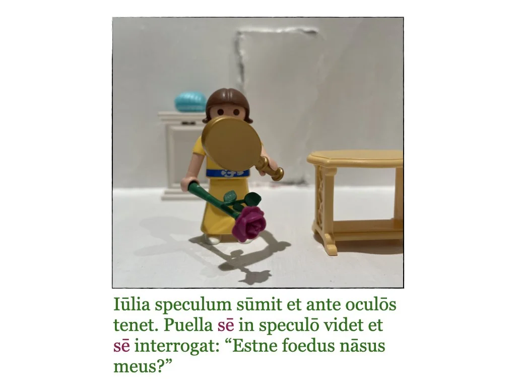 Puella et Rosa.009.jpeg