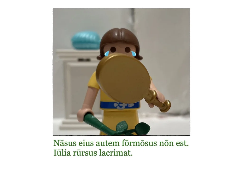 Puella et Rosa.010.jpeg
