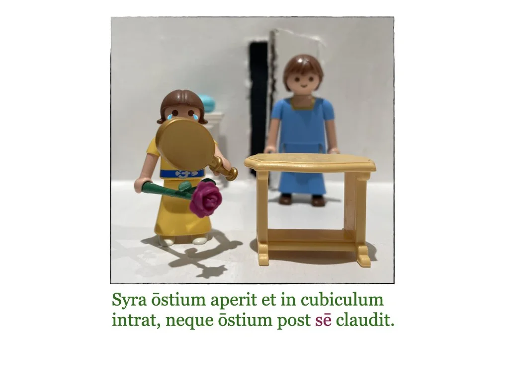 Puella et Rosa.012.jpeg