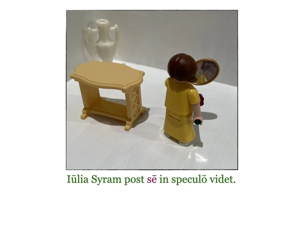 Puella et Rosa.013.jpeg