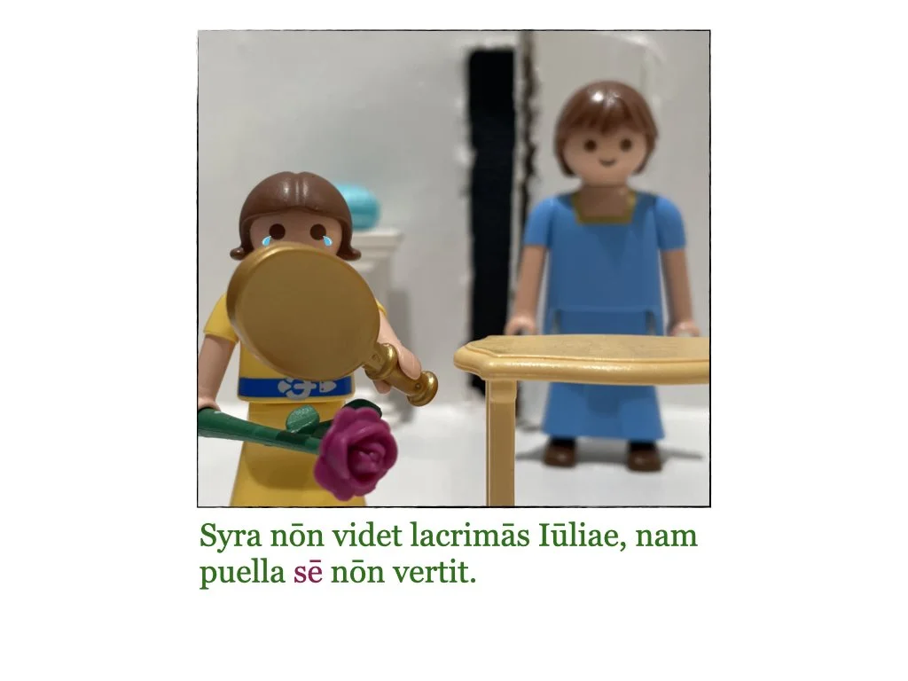 Puella et Rosa.014.jpeg