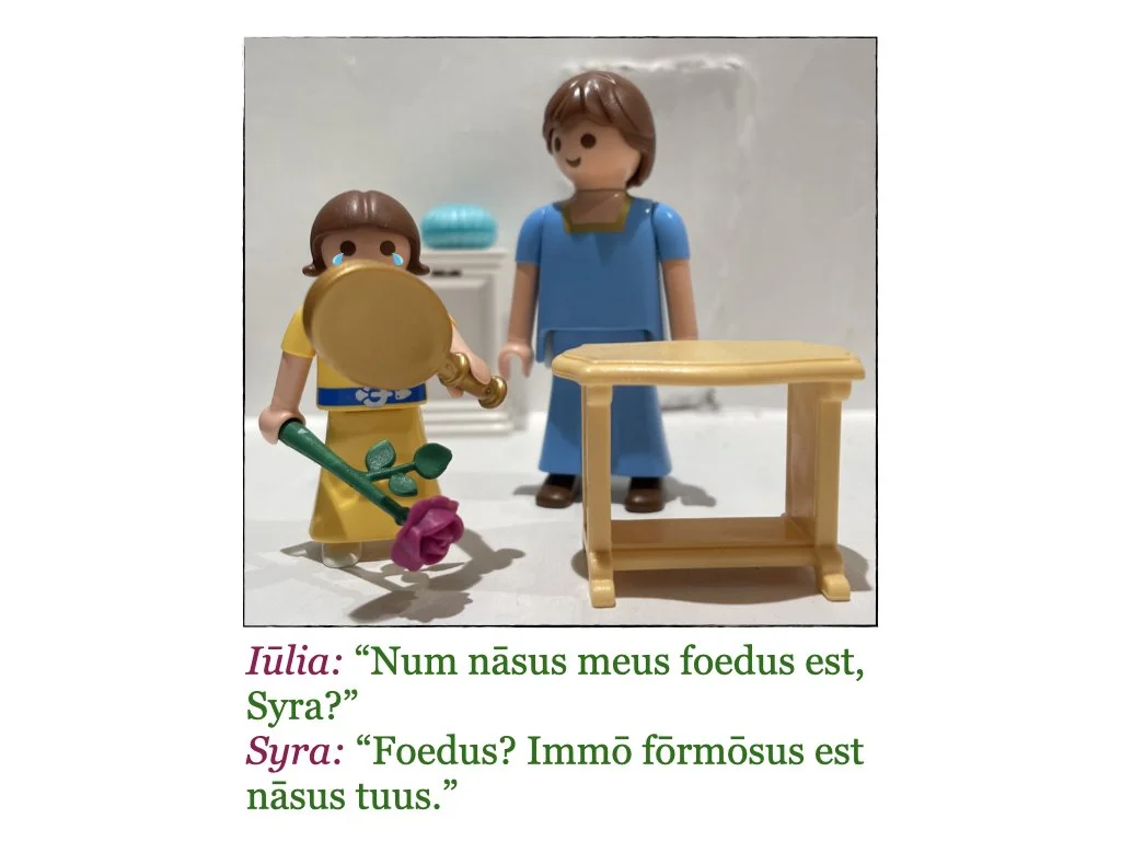 Puella et Rosa.017.jpeg