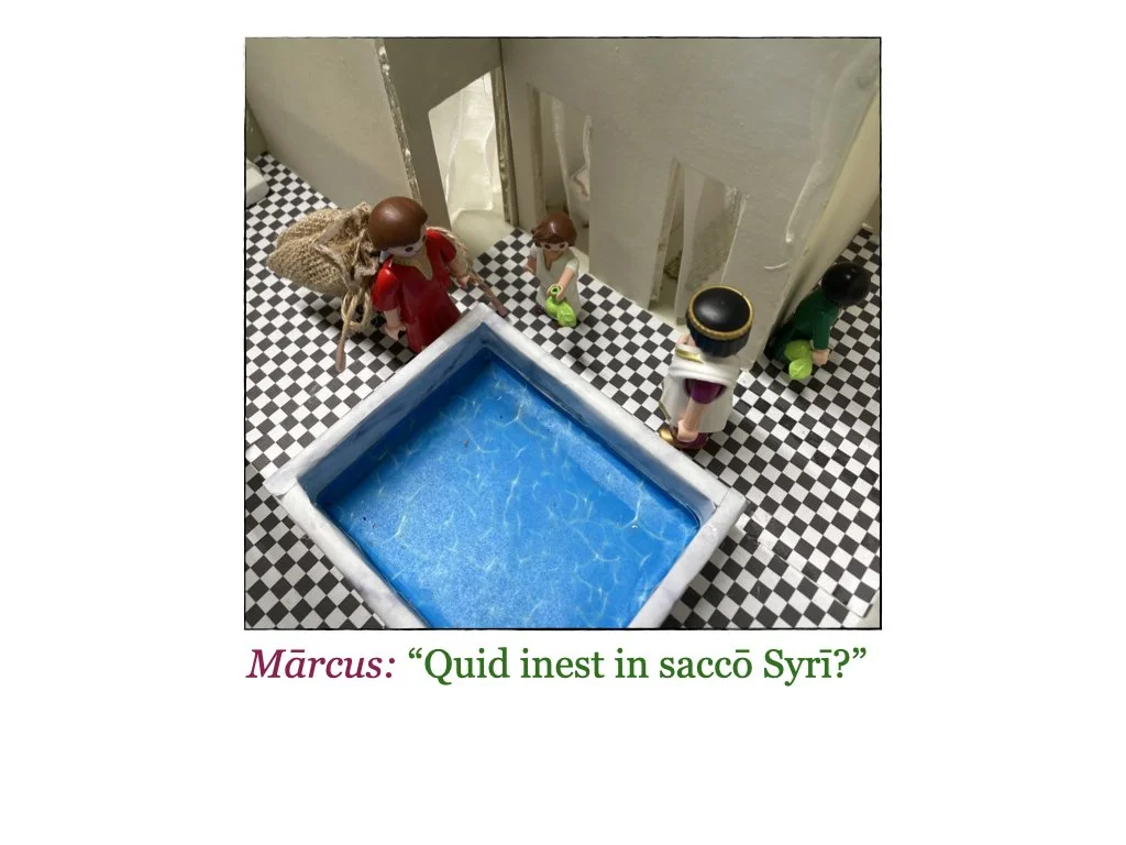 Puella et Rosa.039.jpeg
