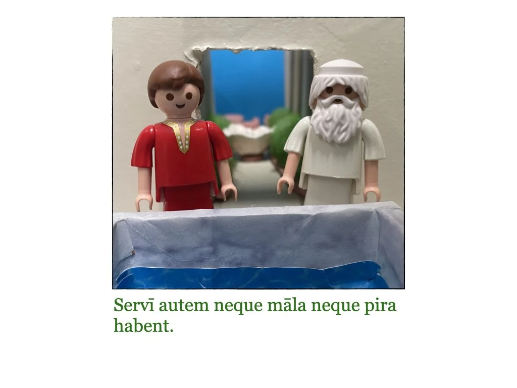 Puella et Rosa.043.jpeg