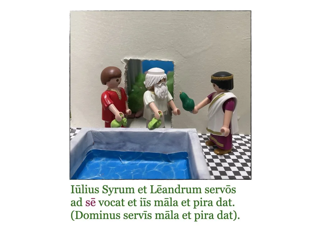 Puella et Rosa.045.jpeg