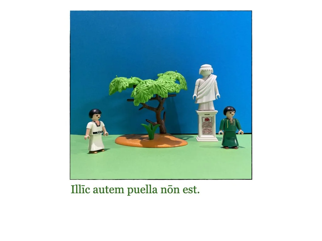 Puella et Rosa.054.jpeg