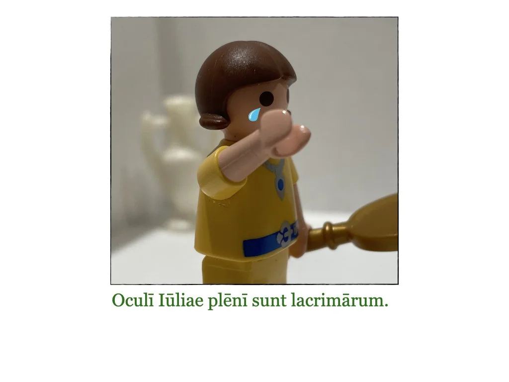 Puella et Rosa.059.jpeg