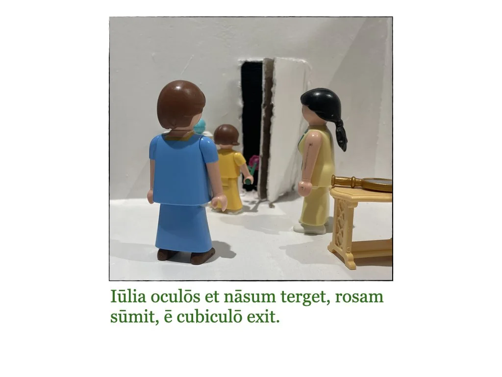 Puella et Rosa.061.jpeg