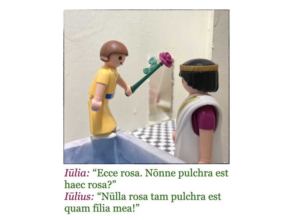 Puella et Rosa.064.jpeg