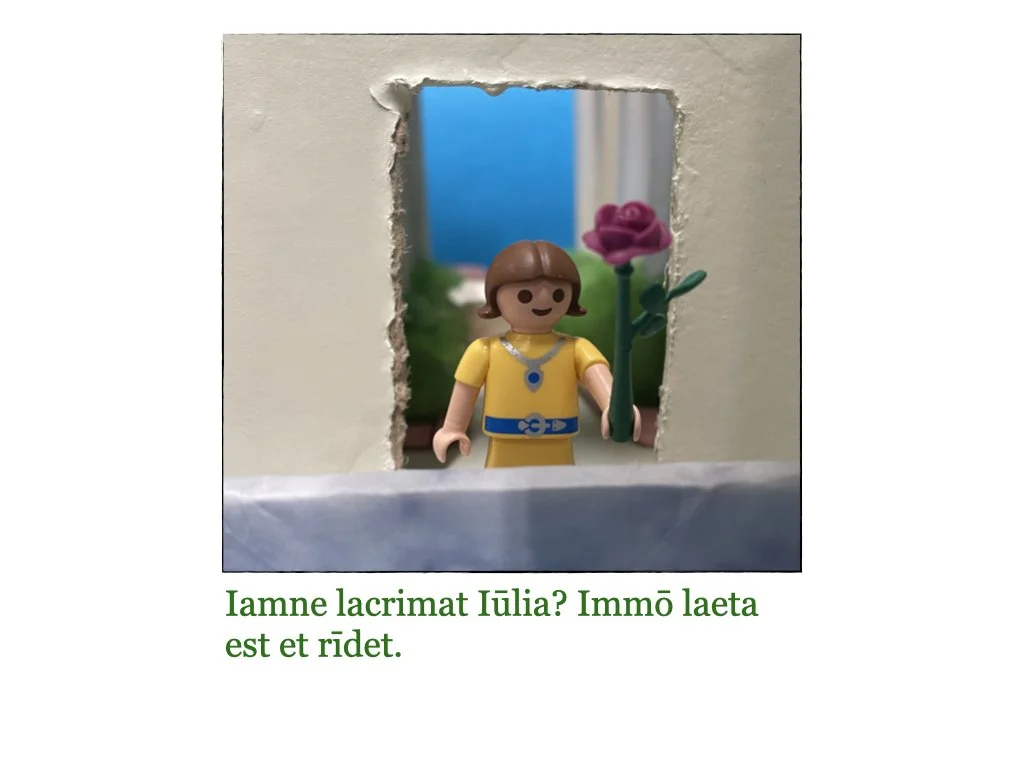 Puella et Rosa.066.jpeg