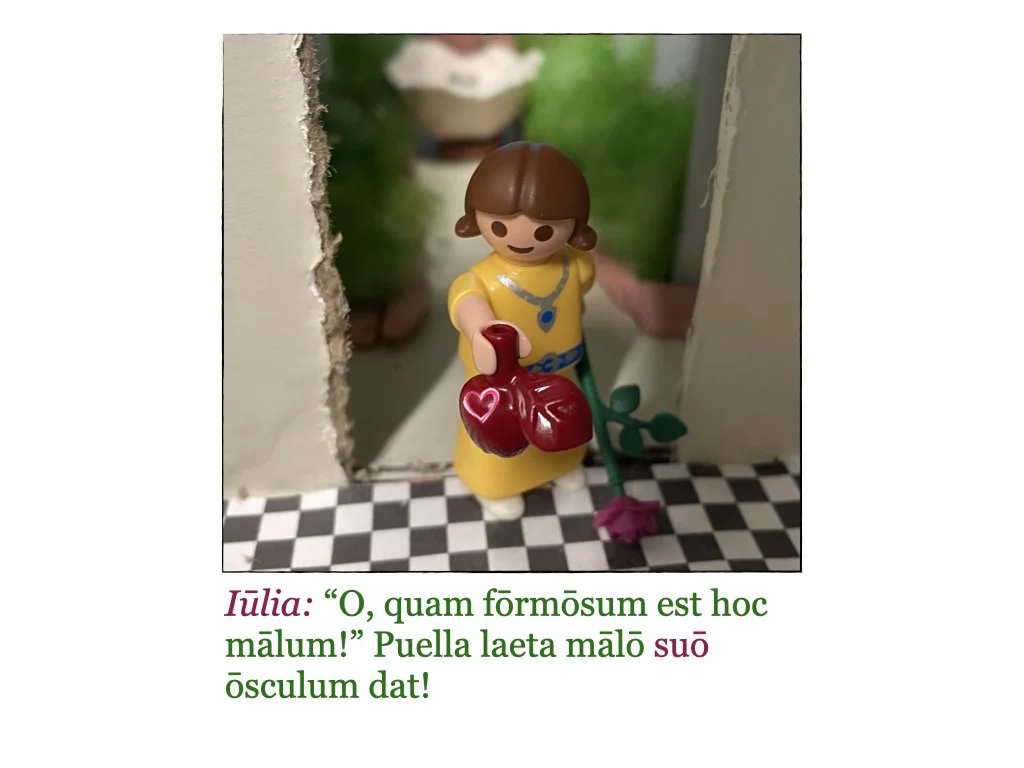 Puella et Rosa.070.jpeg