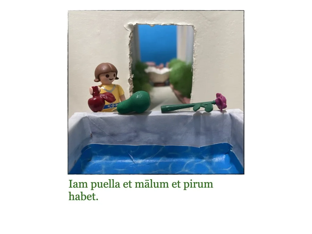 Puella et Rosa.072.jpeg