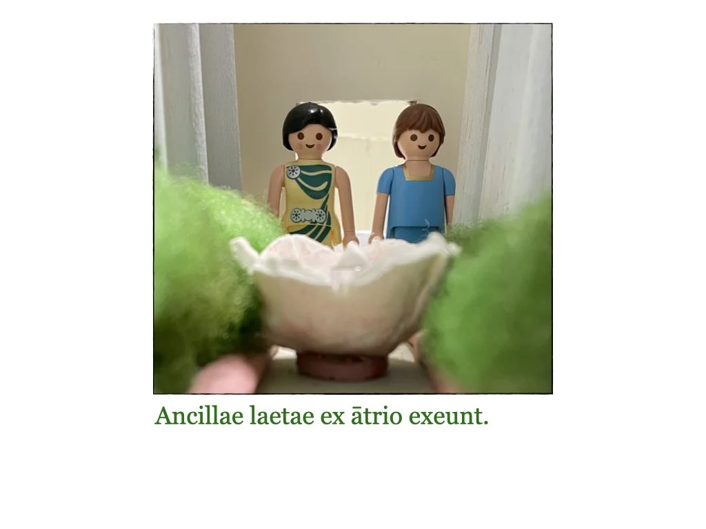 Puella et Rosa.075.jpeg