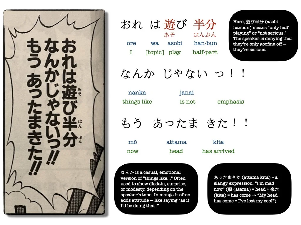 One Piece Manga.019.jpeg