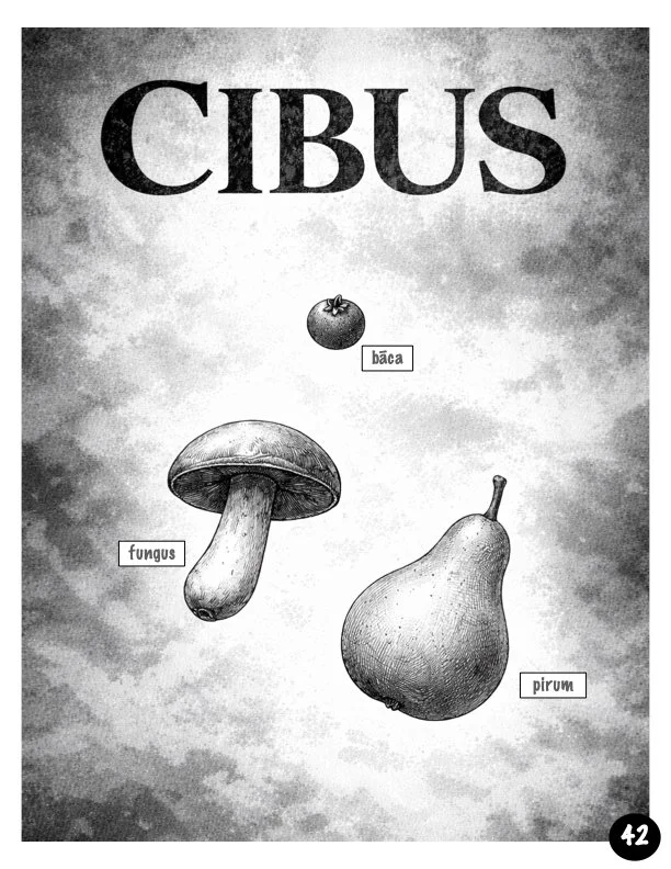 Saltus Volume One.043.jpeg