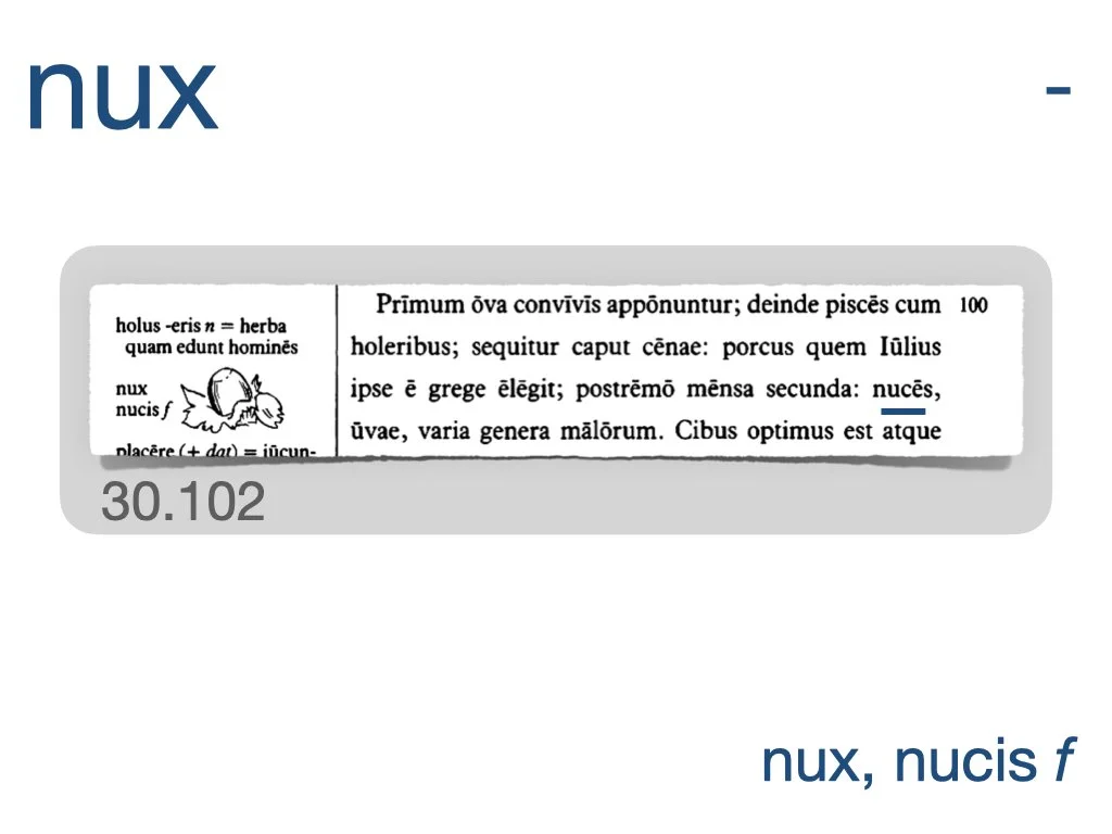 LLPSI Vocabulary Slides 30.019.jpeg
