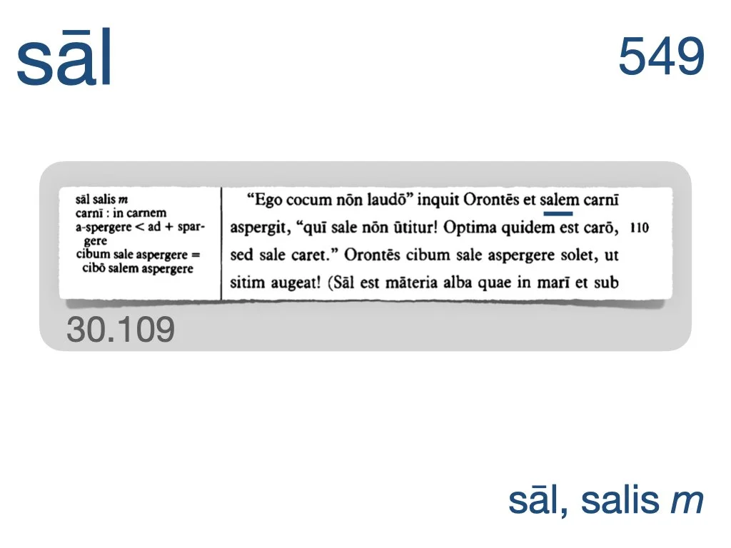 LLPSI Vocabulary Slides 30.021.jpeg