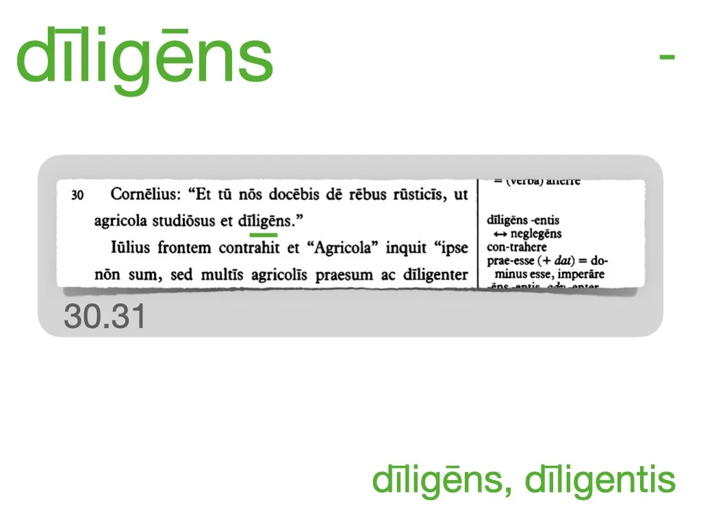 LLPSI Vocabulary Slides 30.028.jpeg