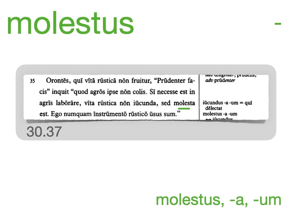 LLPSI Vocabulary Slides 30.030.jpeg
