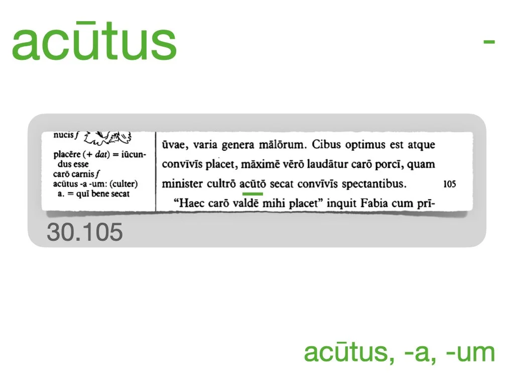 LLPSI Vocabulary Slides 30.034.jpeg