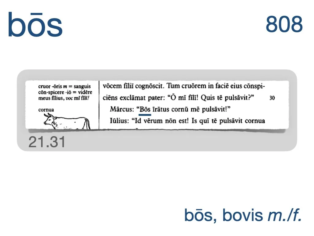 LLPSI Vocabulary Slides 21.005.jpeg