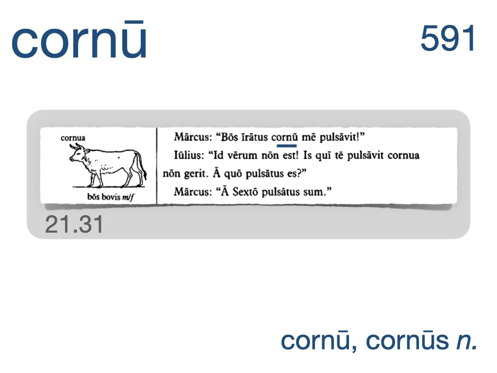 LLPSI Vocabulary Slides 21.006.jpeg