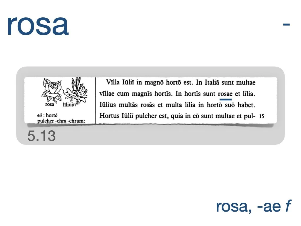 LLPSI Vocabulary Slides 5.003.jpeg