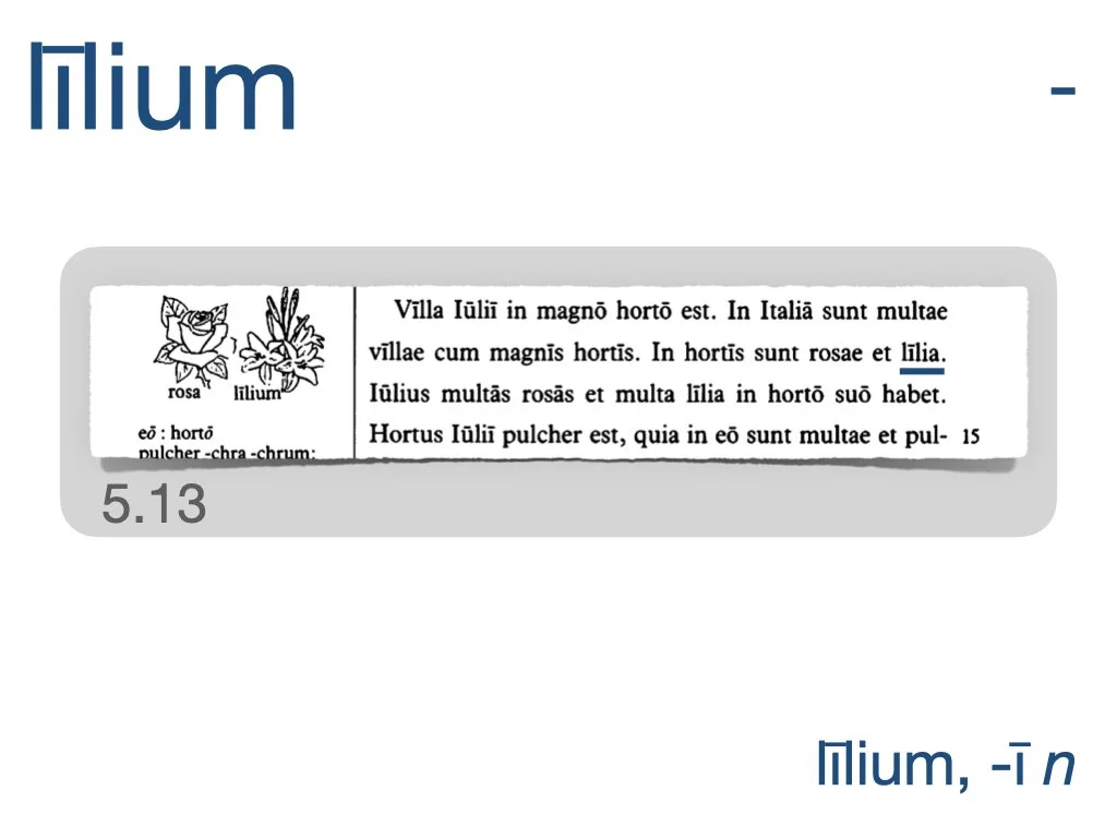 LLPSI Vocabulary Slides 5.004.jpeg