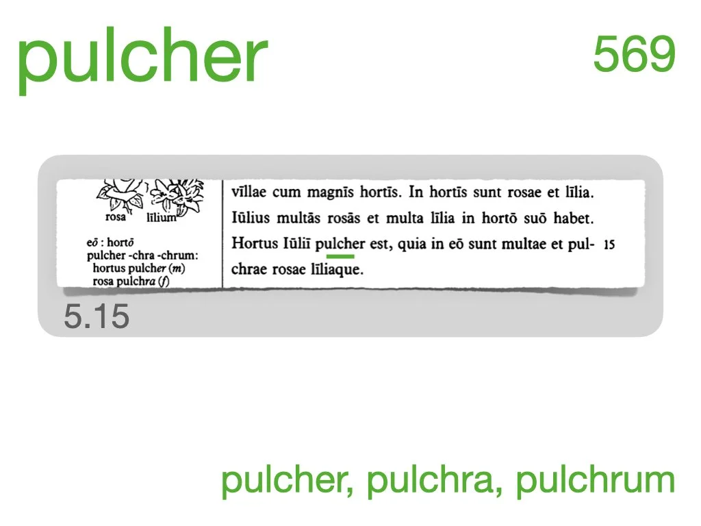 LLPSI Vocabulary Slides 5.013.jpeg