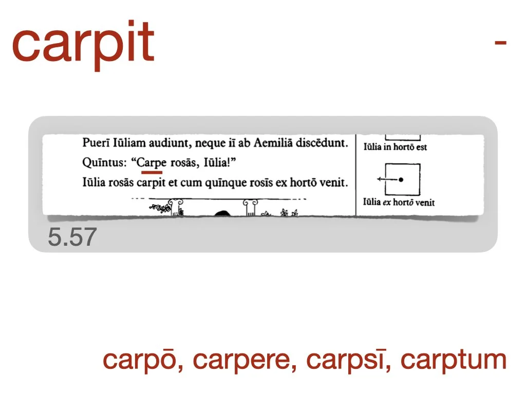 LLPSI Vocabulary Slides 5.018.jpeg