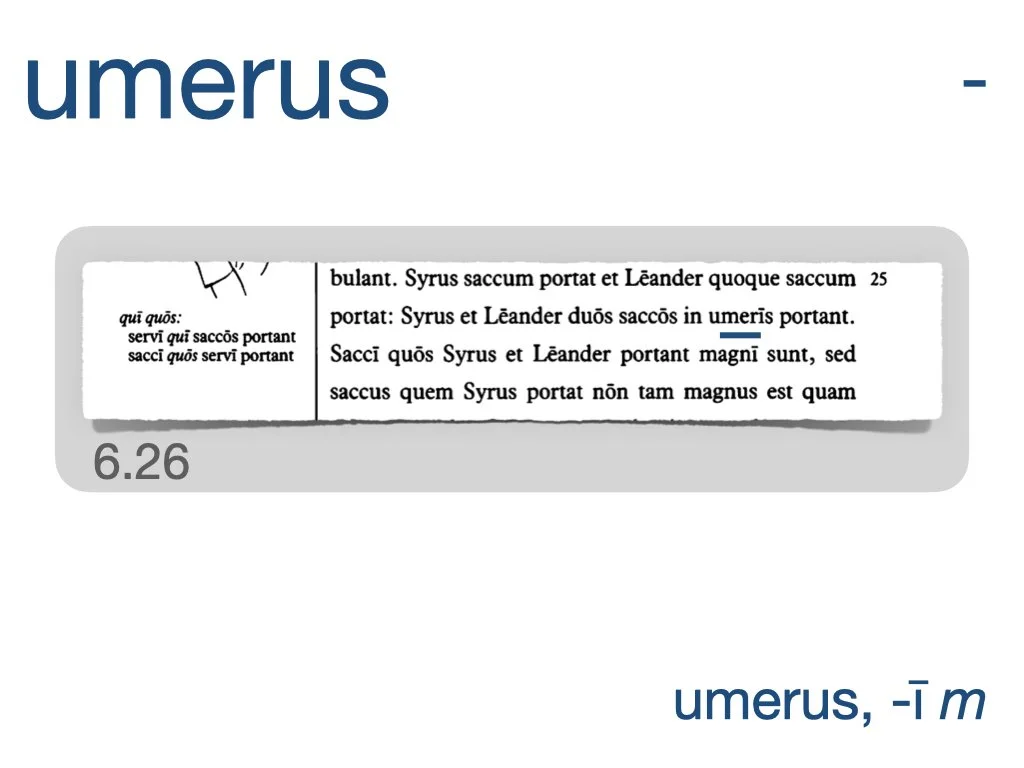 LLPSI Vocabulary Slides 6.006.jpeg