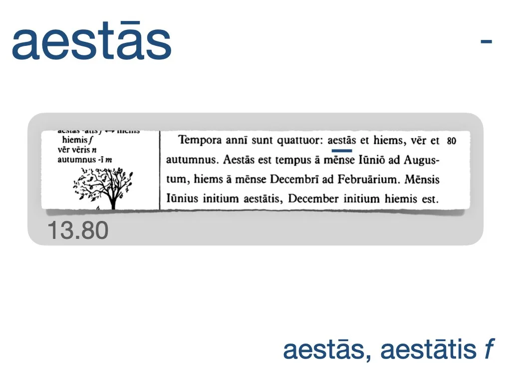 LLPSI Vocabulary Slides 13.021.jpeg