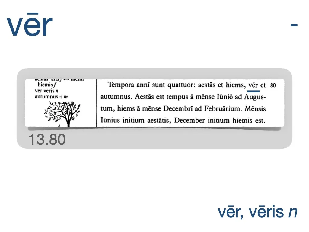 LLPSI Vocabulary Slides 13.023.jpeg