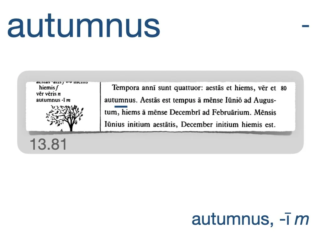 LLPSI Vocabulary Slides 13.024.jpeg