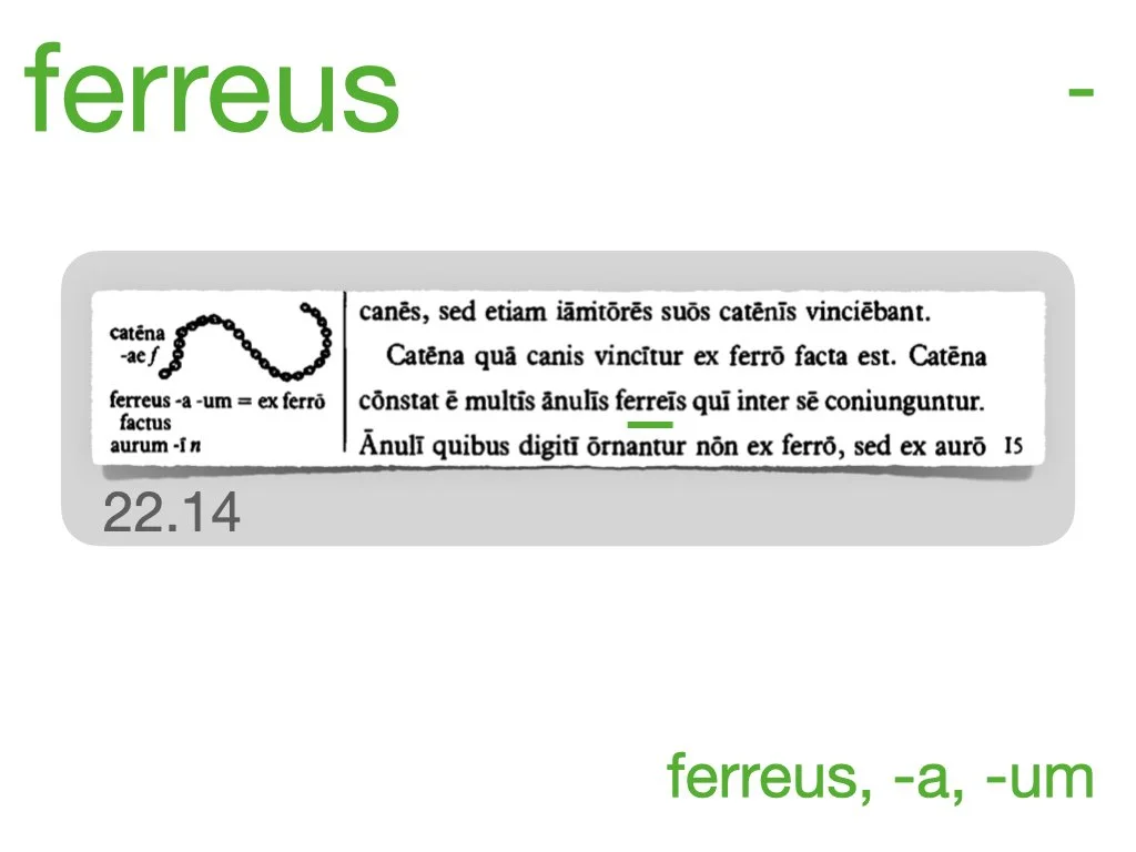LLPSI Vocabulary Slides 22.013.jpeg