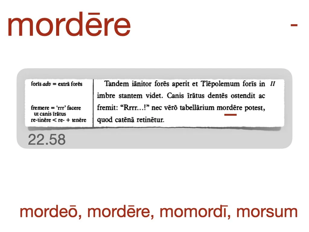 LLPSI Vocabulary Slides 22.021.jpeg