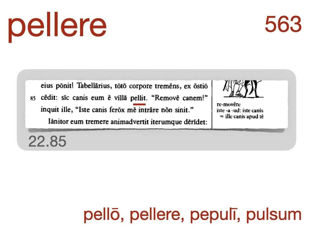 LLPSI Vocabulary Slides 22.038.jpeg