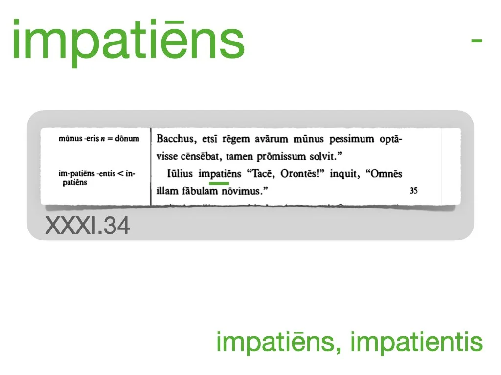 LLPSI Vocabulary Slides 31.021.jpeg