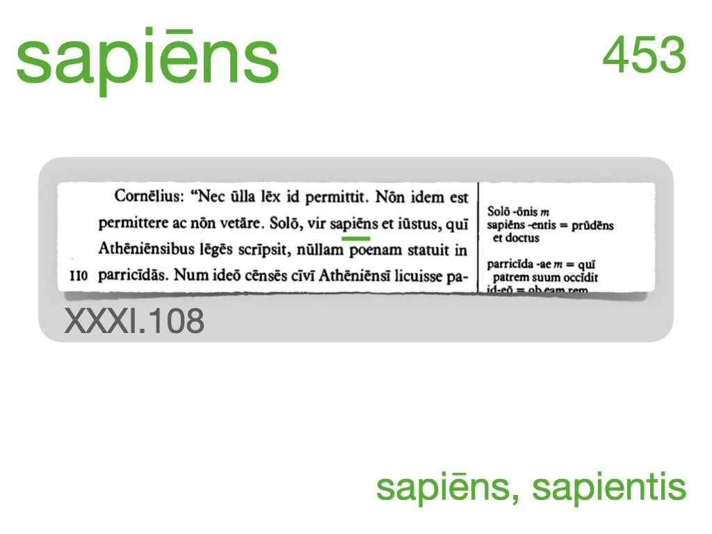 LLPSI Vocabulary Slides 31.031.jpeg