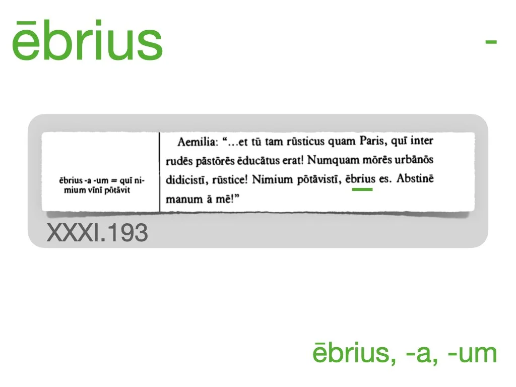 LLPSI Vocabulary Slides 31.037.jpeg