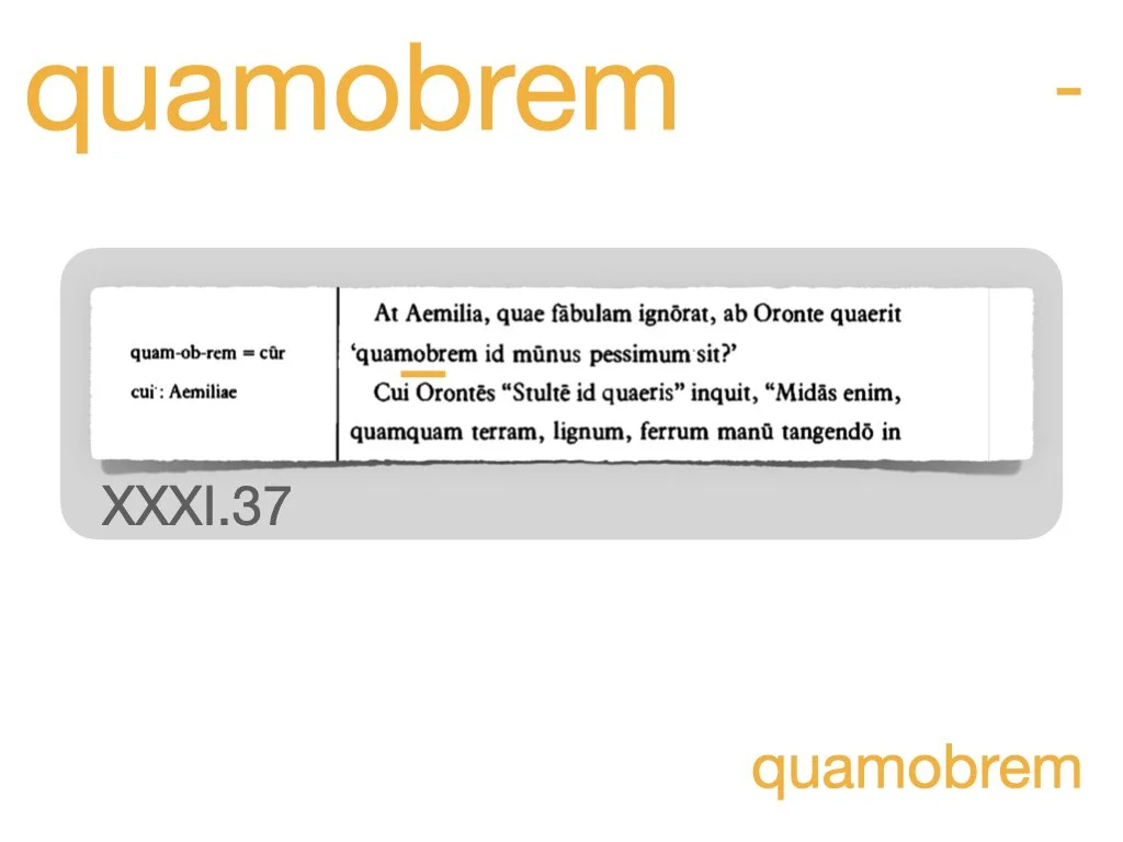 LLPSI Vocabulary Slides 31.059.jpeg